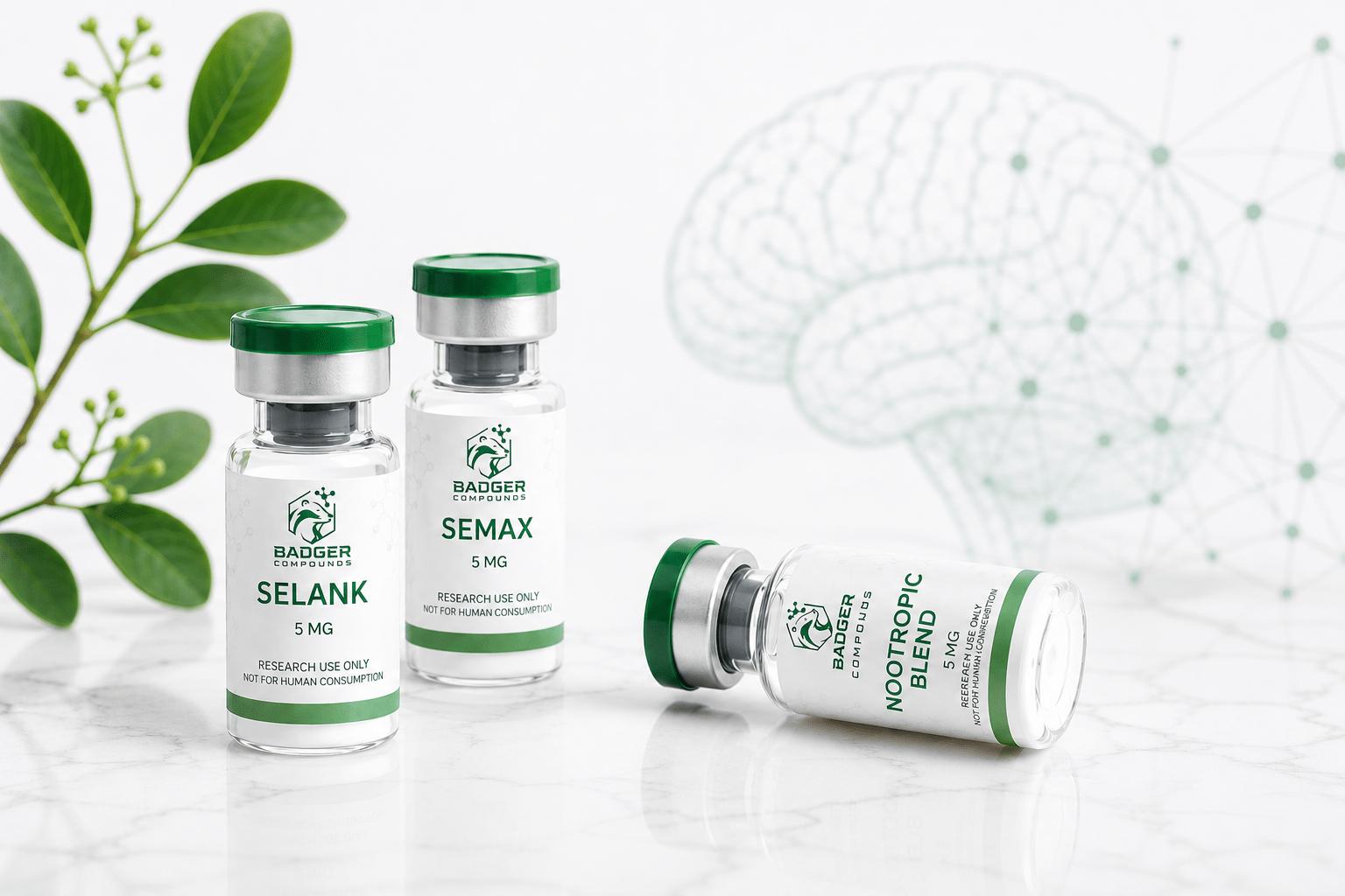 Peptides in cognitive and neurological research - nootropic and neuroprotective compounds investigation - Badger Compounds
