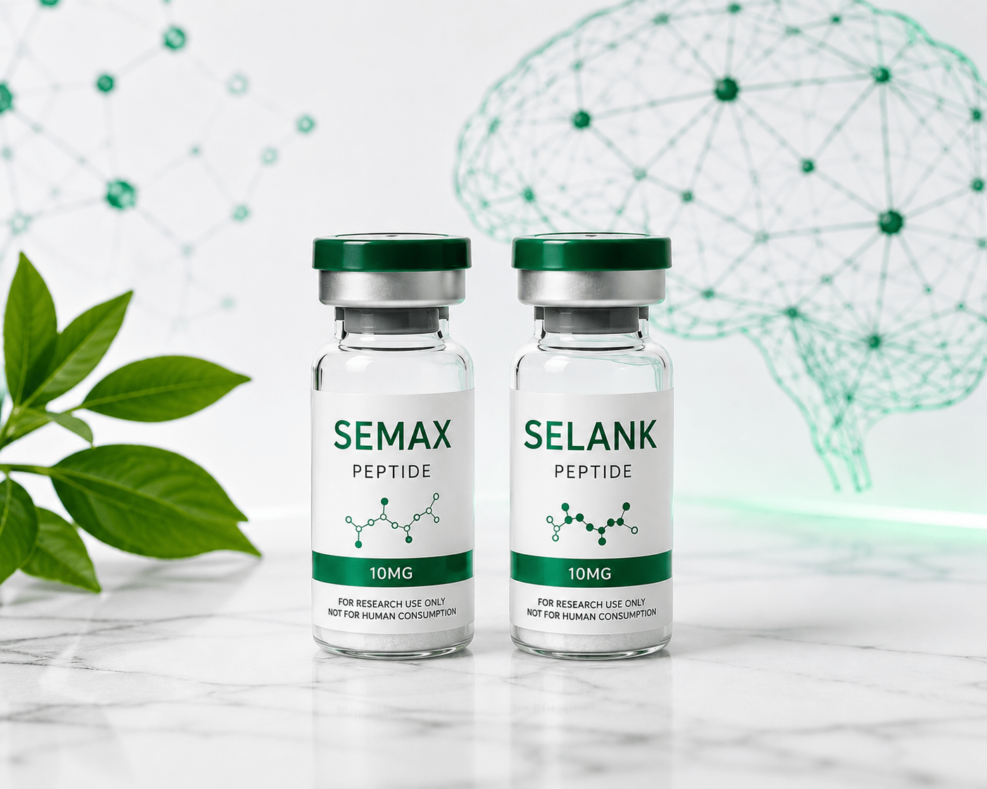 Semax and Selank neurological research peptides for BDNF and GABAergic pathway investigation - Badger Compounds