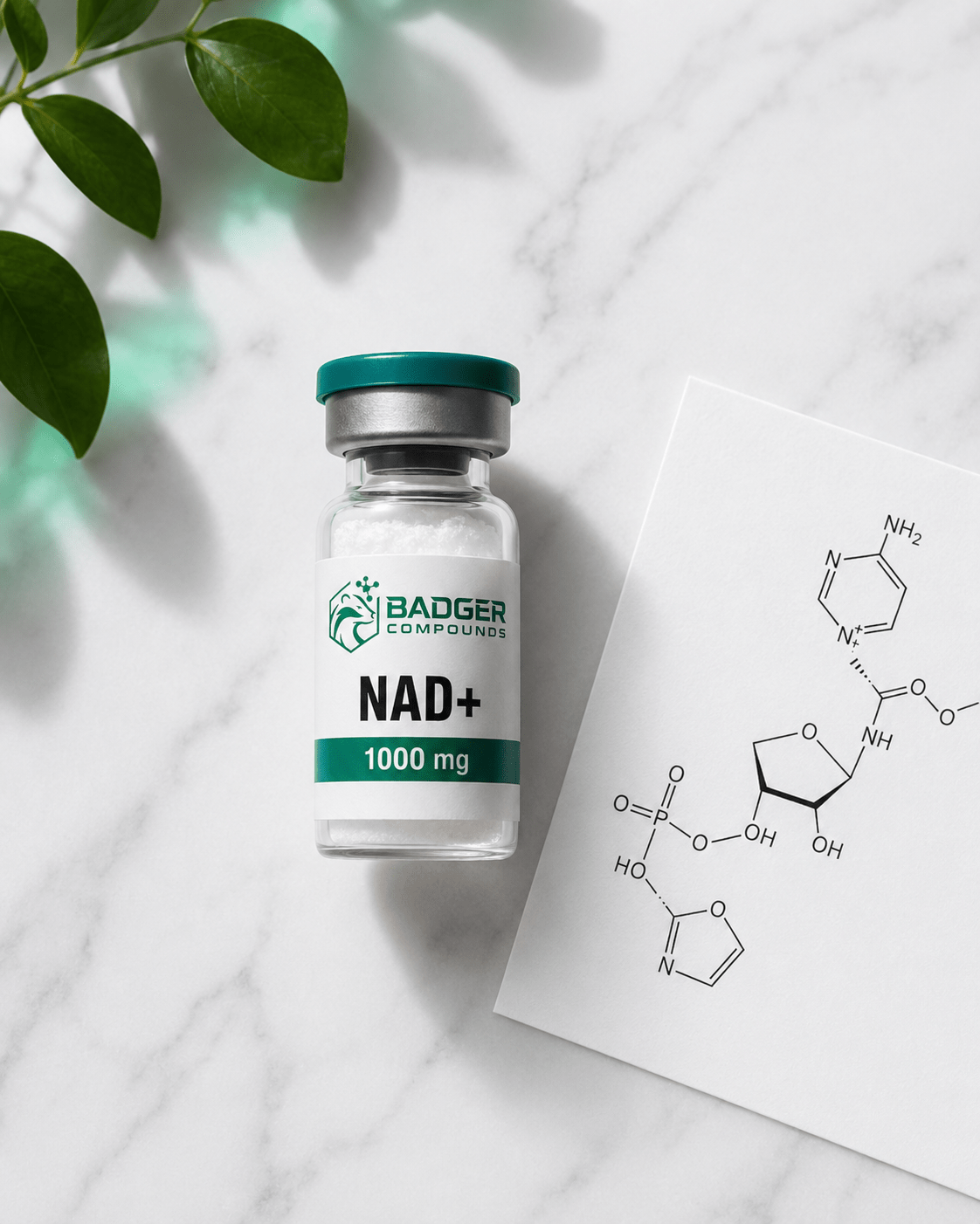NAD+ precursors cellular energy research - NMN NR nicotinamide riboside investigation - Badger Compounds