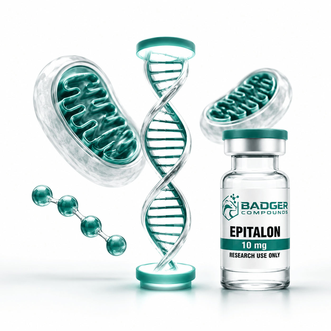 Epitalon tetrapeptide cellular aging research concept with abstract DNA, telomere caps and mitochondria in white and green