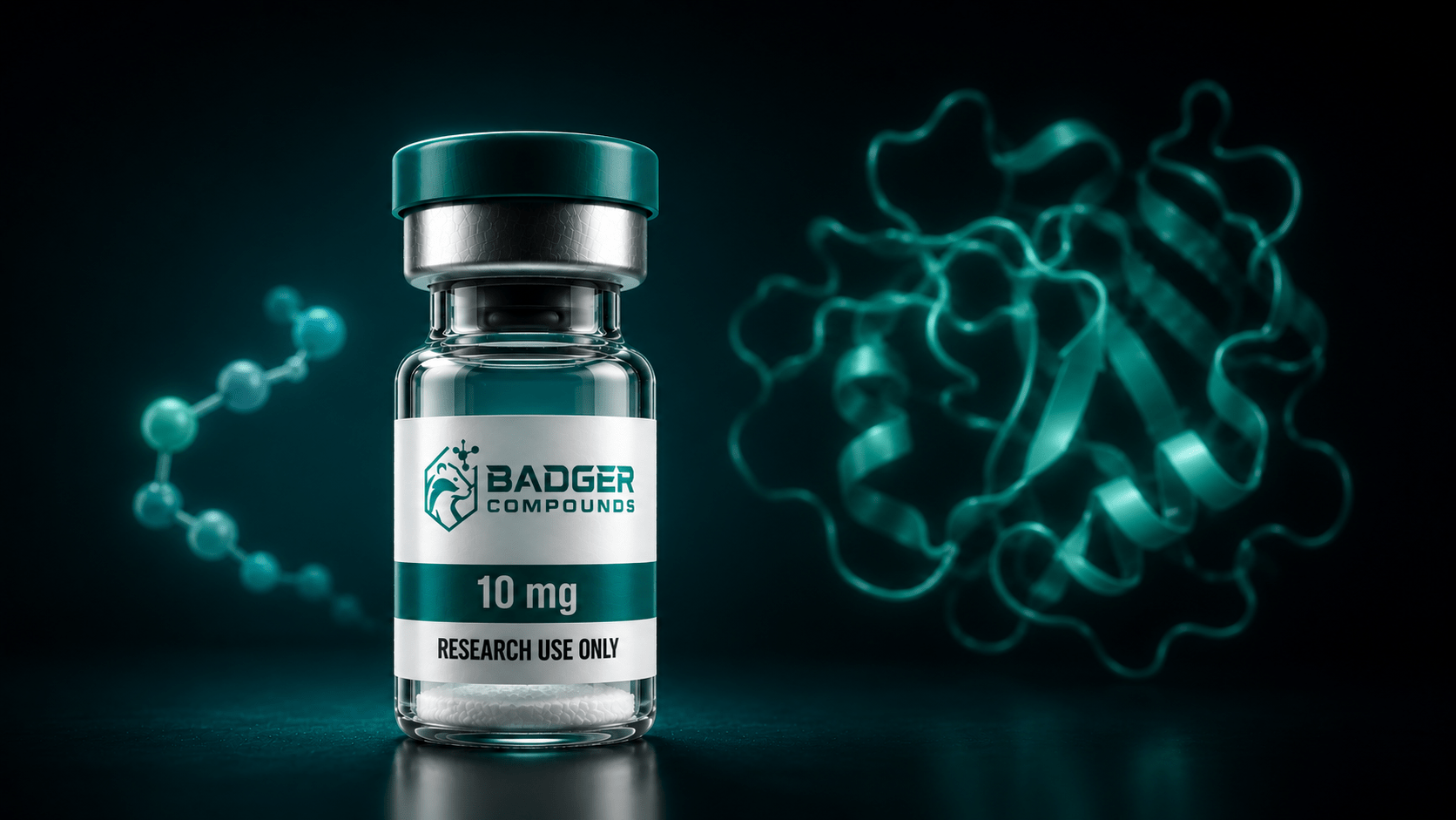 Peptides vs proteins shown by a research peptide vial with a short peptide chain and a folded protein structure behind it