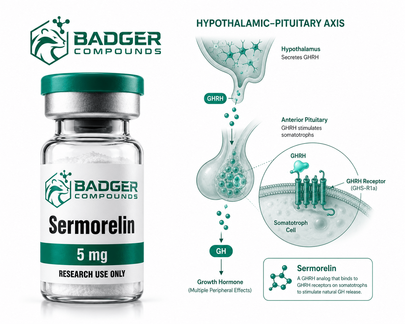 Sermorelin GHRH analog growth hormone research peptide vial