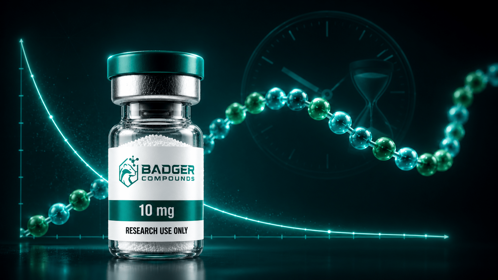 Peptide half-life illustrated by a research peptide vial with a decay curve showing plasma concentration over time