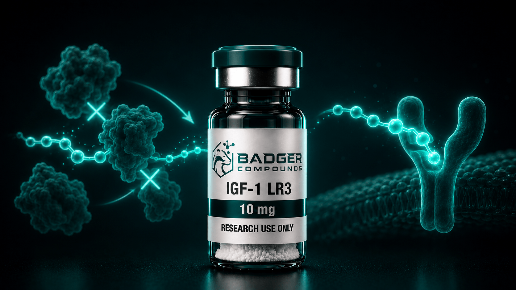 IGF-1 LR3 research vial with an IGF receptor and binding protein pathway motif