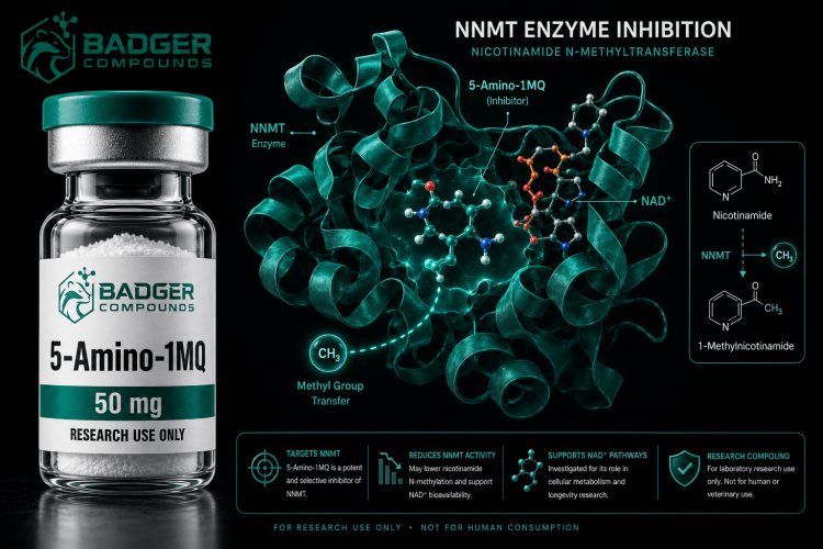 5-Amino-1MQ NNMT inhibitor NAD metabolism research compound vial